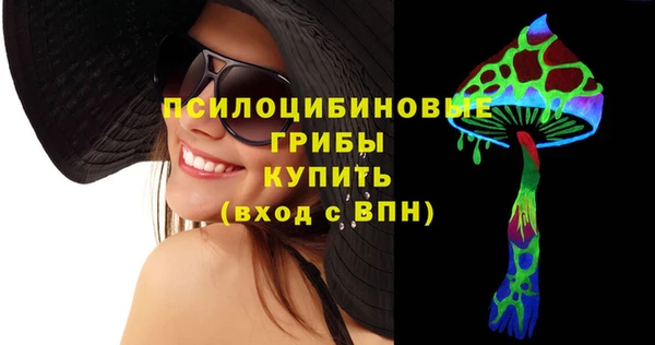 мдпв Надым