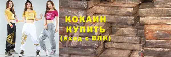 мдпв Надым