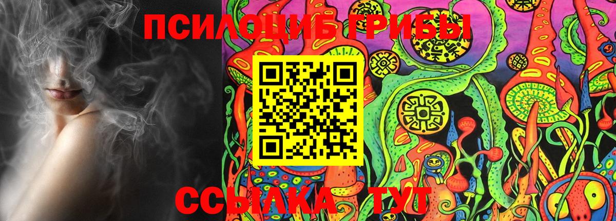 Галлюциногенные грибы Psilocybe Кушва