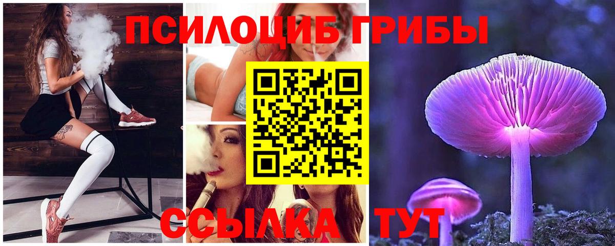 Псилоцибиновые грибы прущие грибы  Кушва 